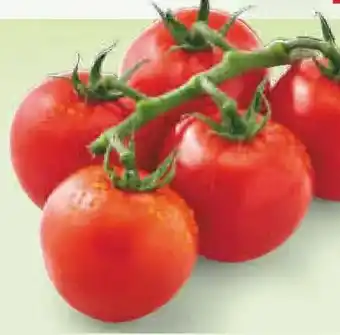 Netto Marken-Discount BioBio Bio-Rispentomaten Angebot