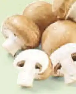 Netto Marken-Discount MarktTag Champignons Angebot