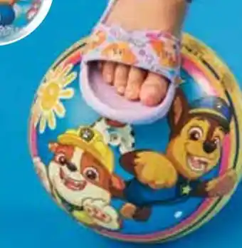 PEPCO Nickelodeon Ball Paw Patrol Angebot