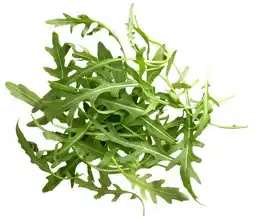 Kaufland Rucola Angebot