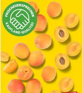 Kaufland Aprikosen Angebot