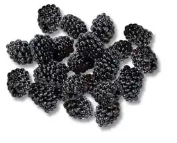 Kaufland Driscoll's Brombeeren Angebot