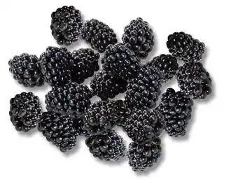 Kaufland Driscoll's Brombeeren Angebot