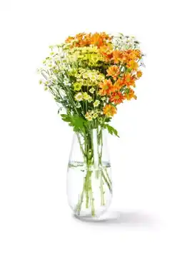 Kaufland Chrysanthemen Santini Mix Angebot