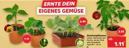 Kaufland Gemüsepflanzen Angebot
