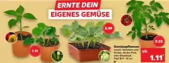 Kaufland Gemüsepflanzen Angebot