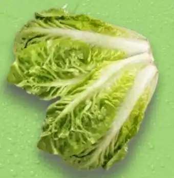 Kaufland Romanasalat Angebot