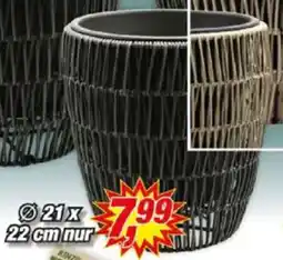 Posten Börse Rattan Pflanztopf Angebot