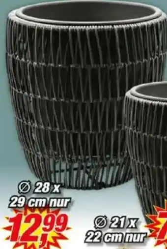 Posten Börse Rattan Pflanztopf Angebot