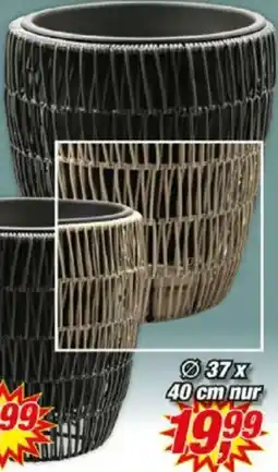 Posten Börse Rattan Pflanztopf Angebot