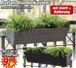 Posten Börse Rattan Blumenkasten Angebot