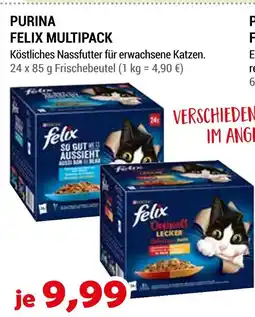 Zookauf Purina felix multipack Angebot