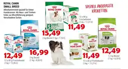 Zookauf Royal canin small breed Angebot