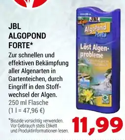 Zookauf Jbl algopond forte Angebot