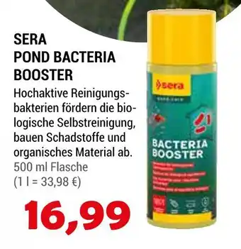 Zookauf Sera pond bacteria booster Angebot