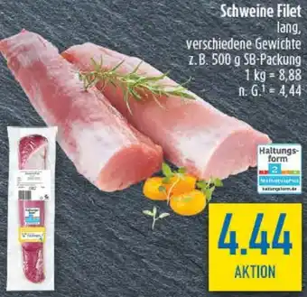 diska Schweine Filet Angebot