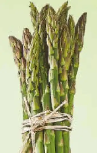 Netto Marken-Discount MarktTag Spargel Grün Angebot