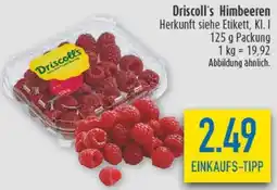 diska Driscoll's Himbeeren Angebot