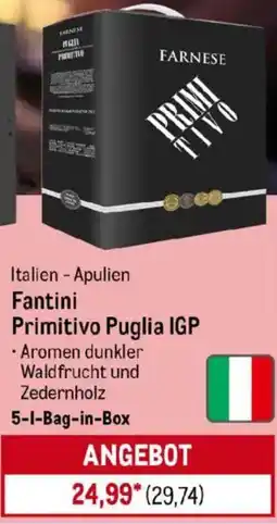 METRO Fantini Primitivo Puglia IGP Angebot