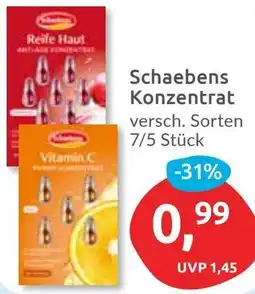 Budni Schaebens Konzentrat Angebot