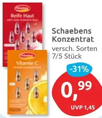 Budni Schaebens Konzentrat Angebot