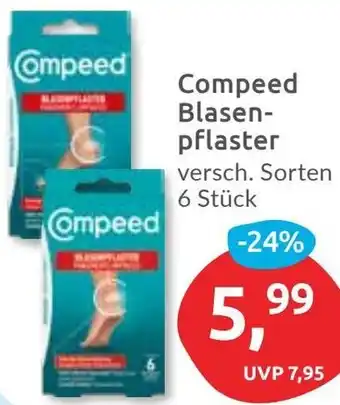 Budni Compeed Blasenpflaster Angebot