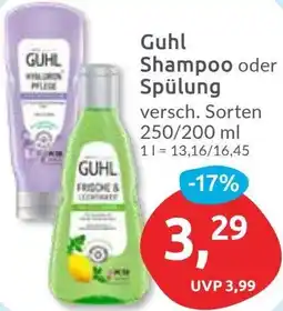Budni Guhl Shampoo oder Spülung Angebot