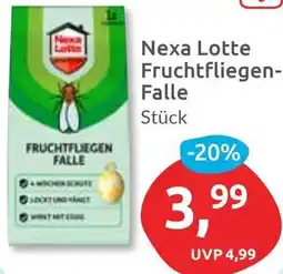 Budni Nexa Lotte Fruchtfliegen Falle Angebot