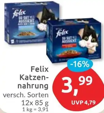 Budni Felix Katzennahrung Angebot