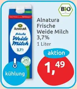 Budni Alnatura Frische Weide Milch 3,7% Angebot