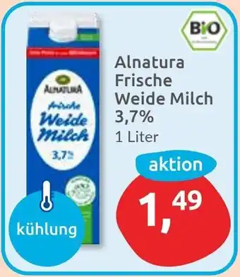 Budni Alnatura Frische Weide Milch 3,7% Angebot