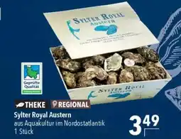 CITTI Markt Sylter Royal Austern Angebot