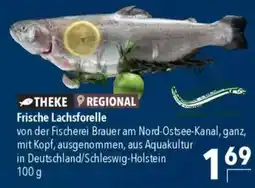 CITTI Markt Frische Lachsforelle Angebot