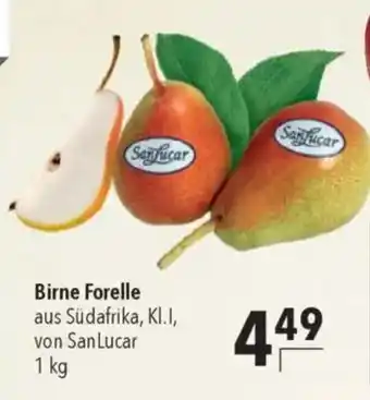 CITTI Markt San Lucar Birne Forelle Angebot
