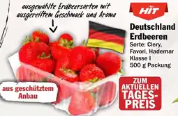 AEZ Deutschland Erdbeeren Angebot