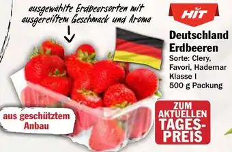 AEZ Deutschland Erdbeeren Angebot