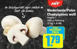 AEZ Niederlande/Polen Champignons weiß Angebot