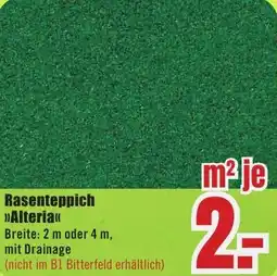 B1 Discount Baumarkt Rasenteppich Alteria Angebot