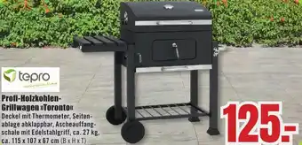 B1 Discount Baumarkt tepro Profi-Holzkohlen Grillwagen Toronto Angebot