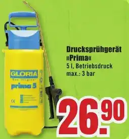 B1 Discount Baumarkt GLORIA Drucksprühgerät Prima Angebot