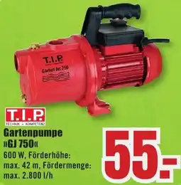 B1 Discount Baumarkt T.I.P Gartenpumpe GJ 750 Angebot