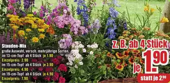B1 Discount Baumarkt Stauden-Mix Angebot