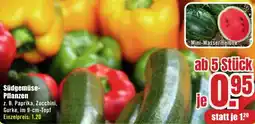 B1 Discount Baumarkt Südgemüse Pflanzen Angebot