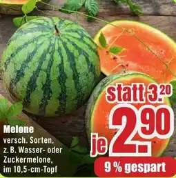B1 Discount Baumarkt Melone Angebot