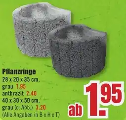 B1 Discount Baumarkt Pflanzringe Angebot
