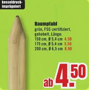B1 Discount Baumarkt Baumpfahl Angebot