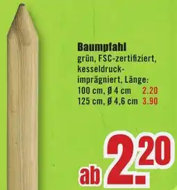 B1 Discount Baumarkt Baumpfahl Angebot