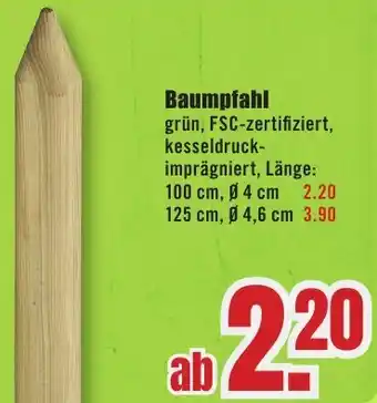 B1 Discount Baumarkt Baumpfahl Angebot
