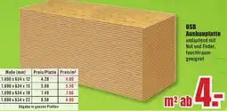 B1 Discount Baumarkt OSB Ausbauplatte Angebot