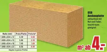 B1 Discount Baumarkt OSB Ausbauplatte Angebot